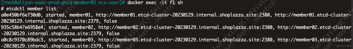 Etcd的使用 - Etcd集羣安裝 - 《Go學習手冊（For learning Go Tutorial）》_鍵值