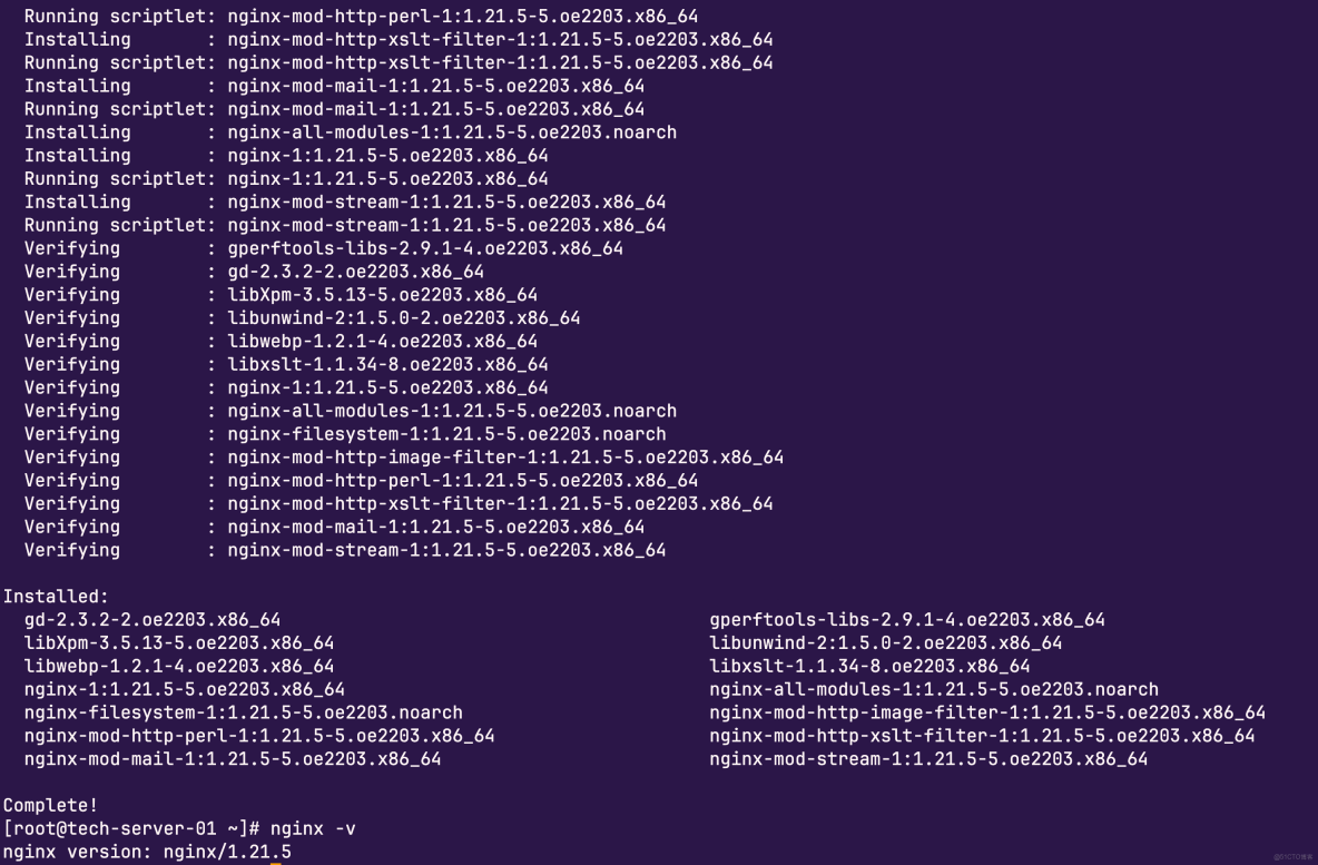 openEuler軟件生態體驗：快速部署Nginx Web服務器_nginx_02