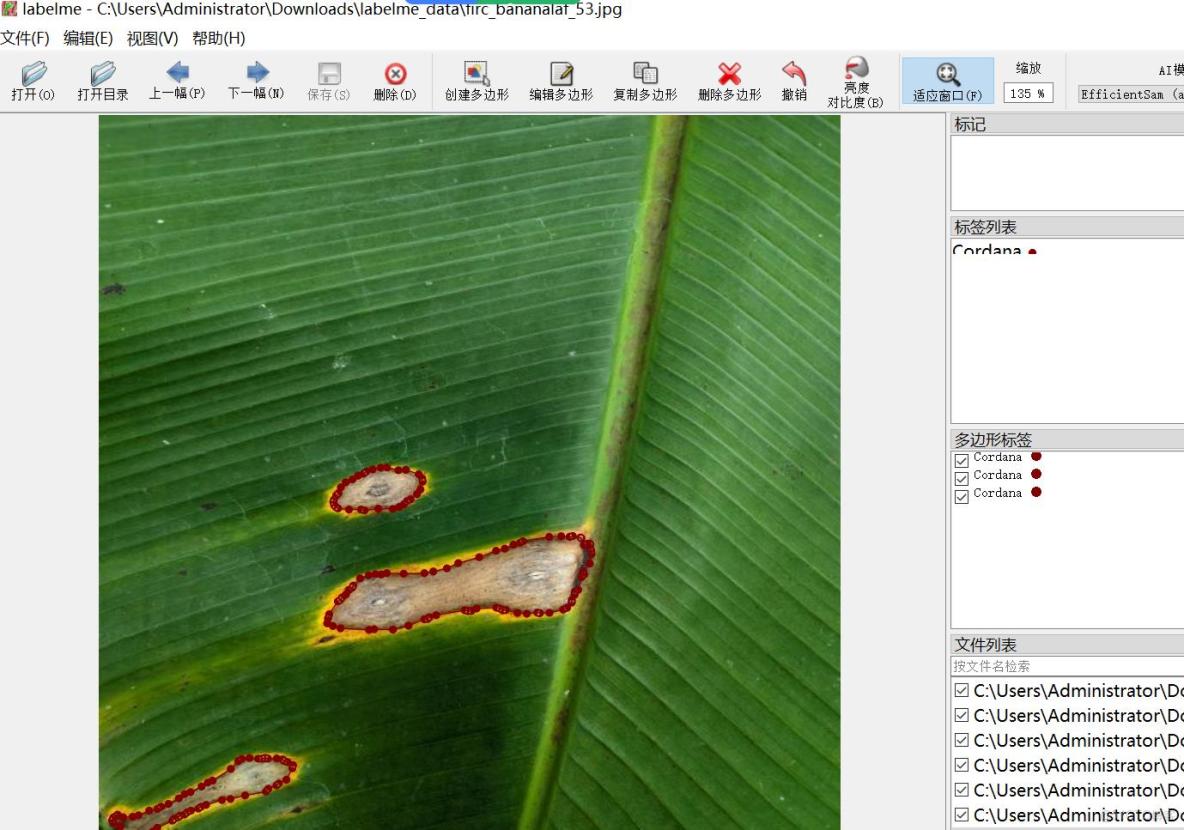 香蕉葉子病害識別分割數據集labelme格式904張3類別_數據集_05