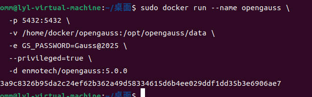 Ubuntu系統使用Docker安裝openGauss數據庫完整教程_docker_08