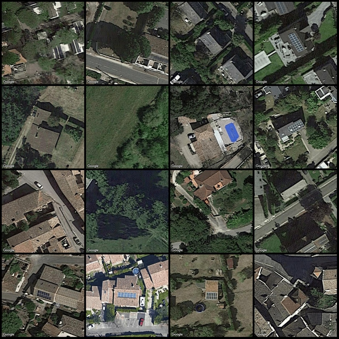無人機視角城市道路樹木識別分割數據集labelme格式2029張1類別_json格式_03