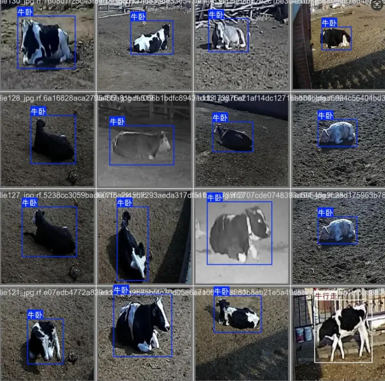 image-20251109013224331