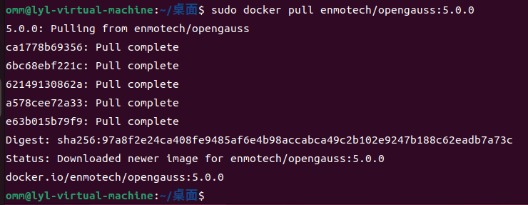 Ubuntu系統使用Docker安裝openGauss數據庫完整教程_數據庫_07