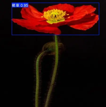 在這裏插入圖片描述