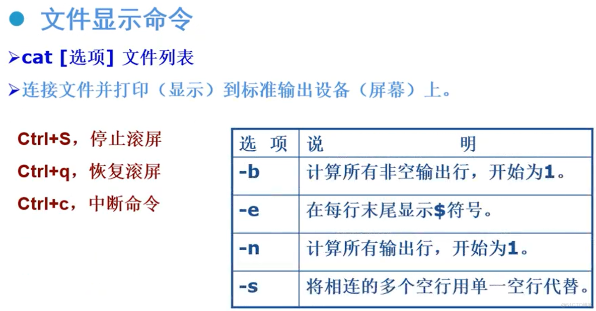 linux將vncserver製作成systemd_根目錄_26