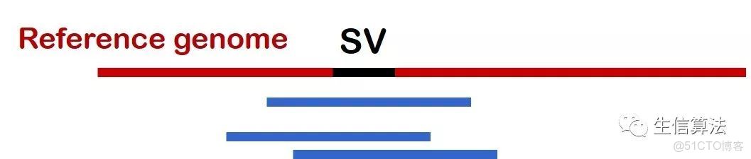 SPARK 基因_SPARK 基因_06