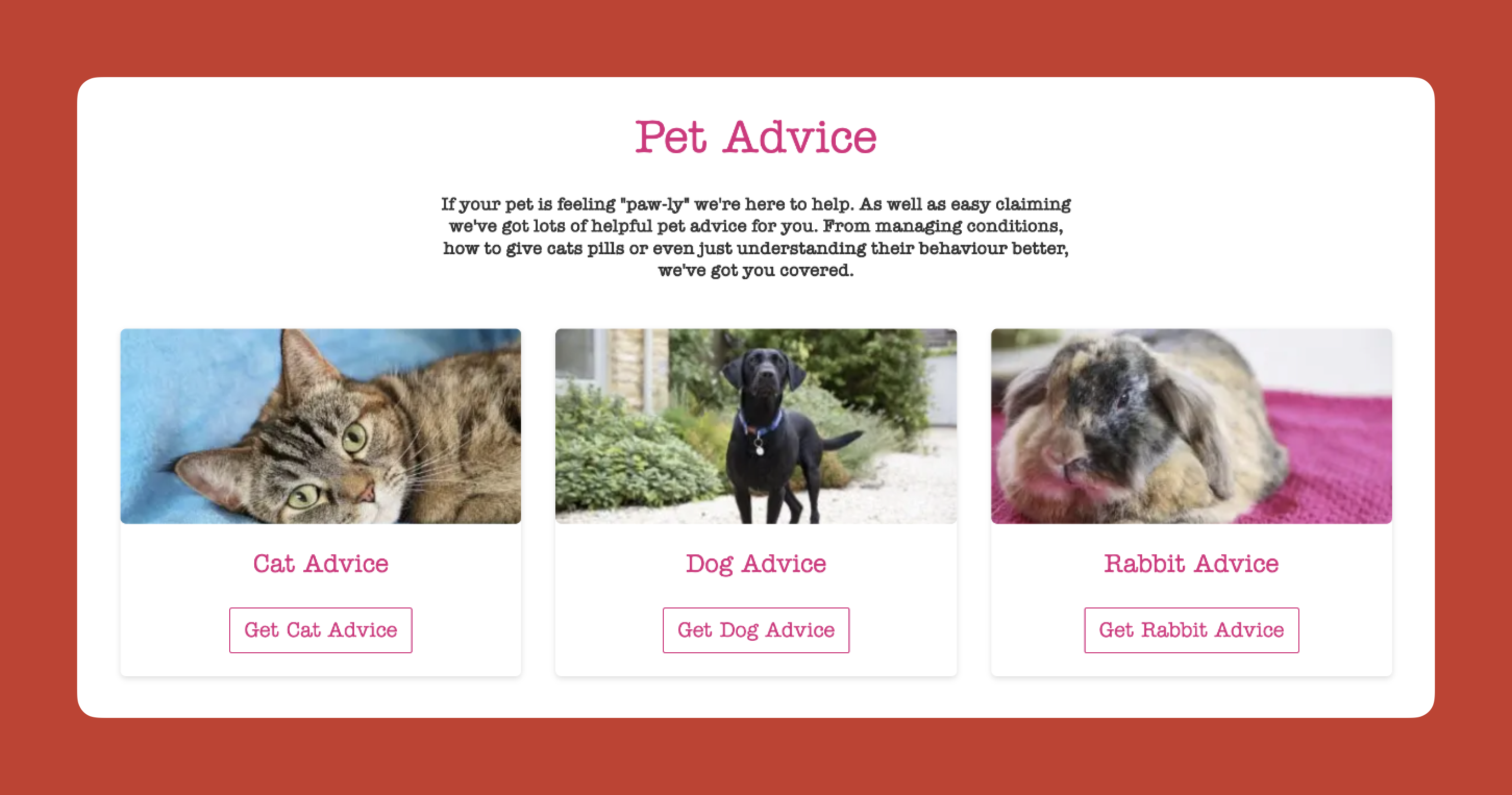 An example from a pet insurance company tested by Attention Insight