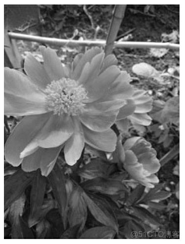 Python 數據科學入門教程：OpenCV_#視覺項目