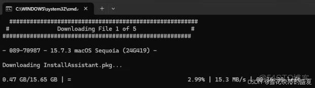 全網最簡單的黑蘋果安裝教程之一_python_21