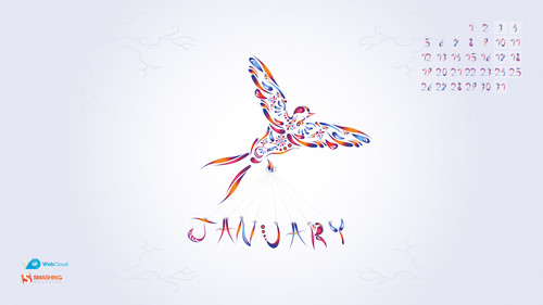The Early January Bird