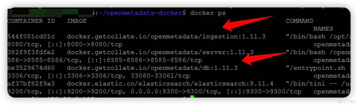 安裝OpenMetadata_docker_02
