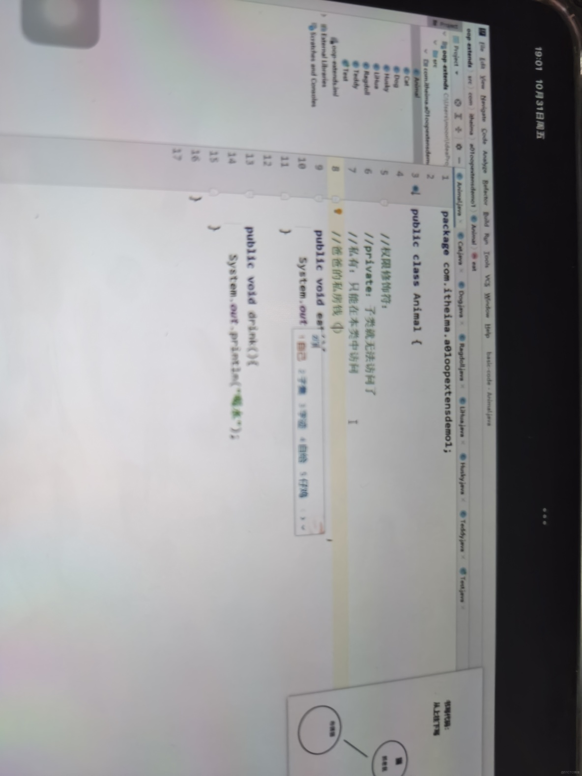 java倜儻_Javan[賈萬,賈範,爪哇]的中文翻譯及英文名意思_weixin_父類_18