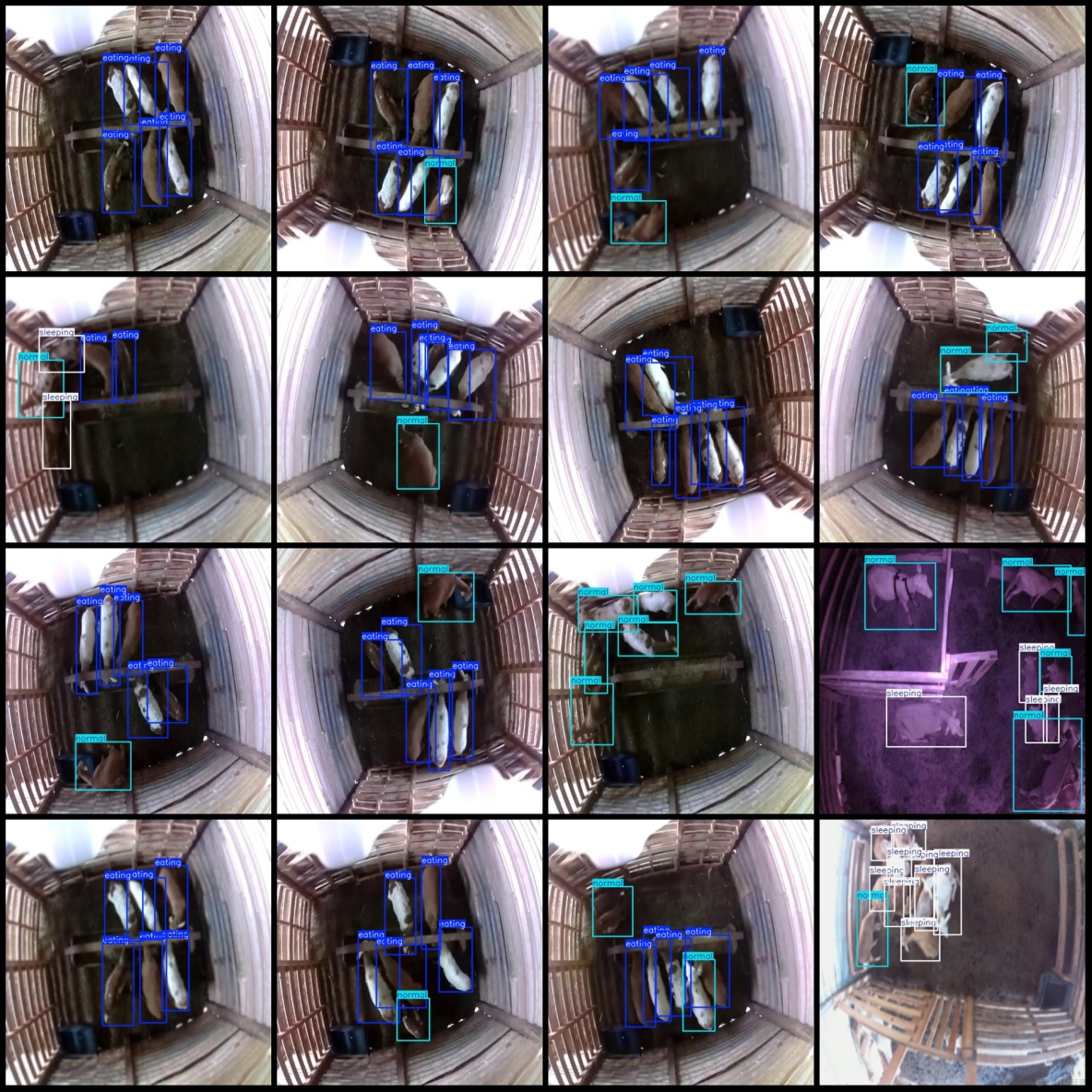 智慧養殖羊圈羊行為識別羊狀態檢測數據集VOC+YOLO格式9652張3類別_數據集_03