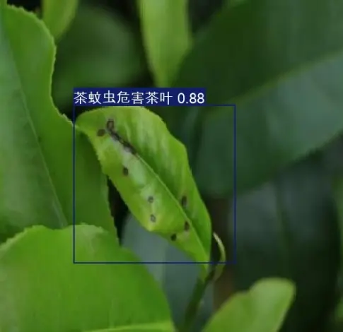 在這裏插入圖片描述