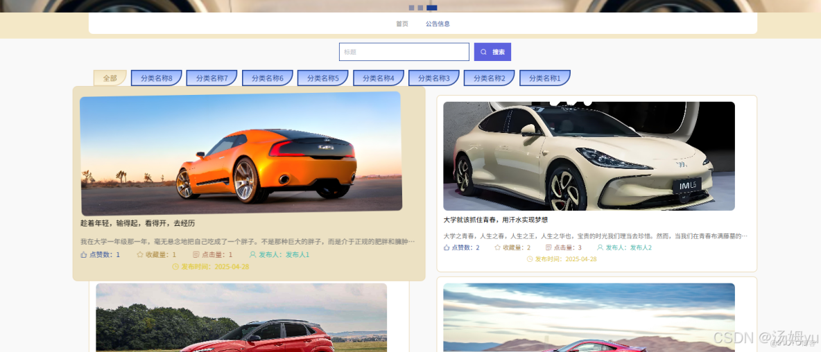 基於python大數據的新能源汽車數據分析系統_數據_04