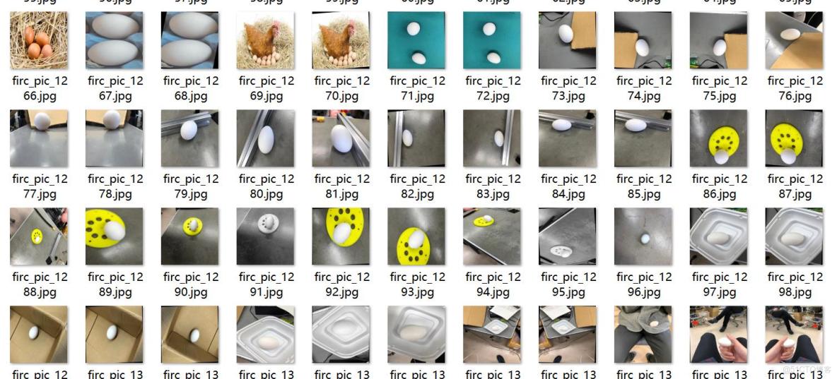 雞蛋檢測數據集VOC+YOLO格式2136張1類別_數據集_02