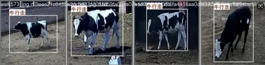 在這裏插入圖片描述