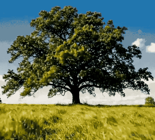 GMI Cloud@AI 週報 | Gemini 3、Nano Banana Pro輪番炸場；Grok4.1低調發布；螞蟻靈光阿里千問接踵而至_Google_03