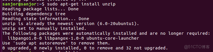 sdn網絡 BGP協議_ubuntu_04