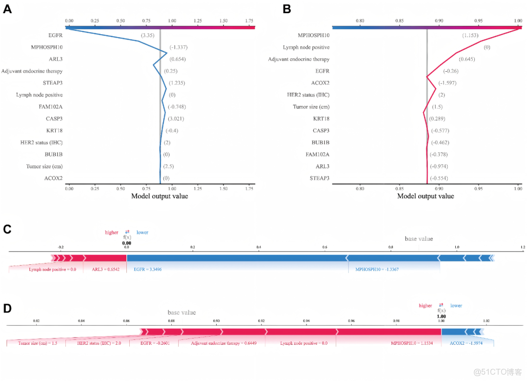 iMetaMed | 温附一夏二傑組-預測乳腺癌5年生存率-可解釋機器學習模型_數據_06