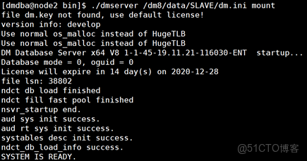 DM8 主備 docker_守護進程_16