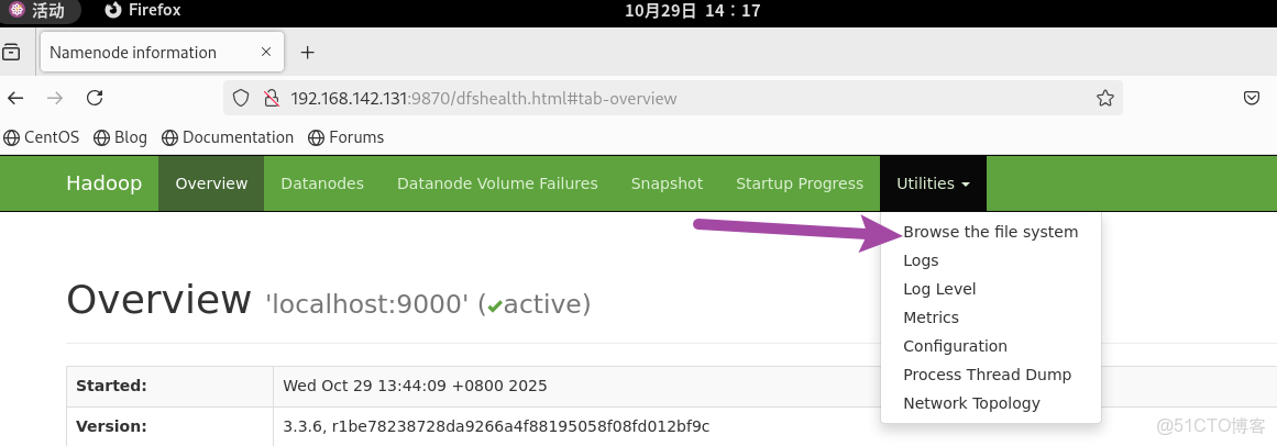 熟練掌握HDFS的Shell訪問和JavaAPI訪問_HDFS_06