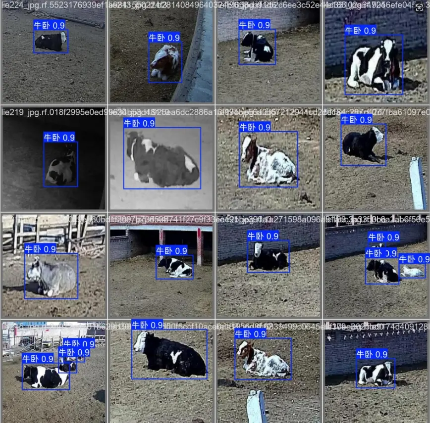 在這裏插入圖片描述