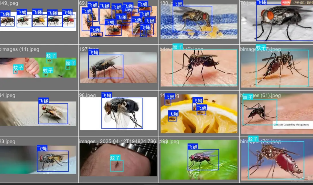 在這裏插入圖片描述