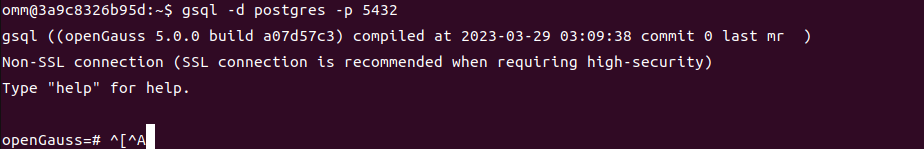 Ubuntu系統使用Docker安裝openGauss數據庫完整教程_openGauss_11