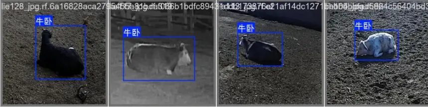 在這裏插入圖片描述