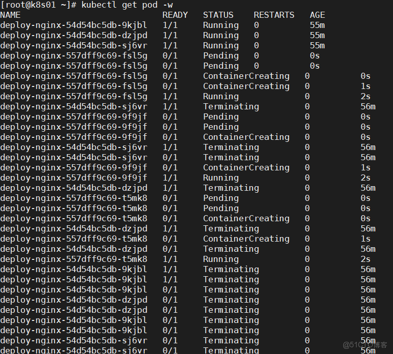 K8s控制器Deployment(補充)_nginx_12