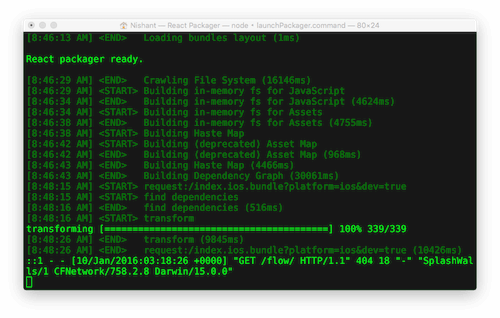 Terminal window on first run.