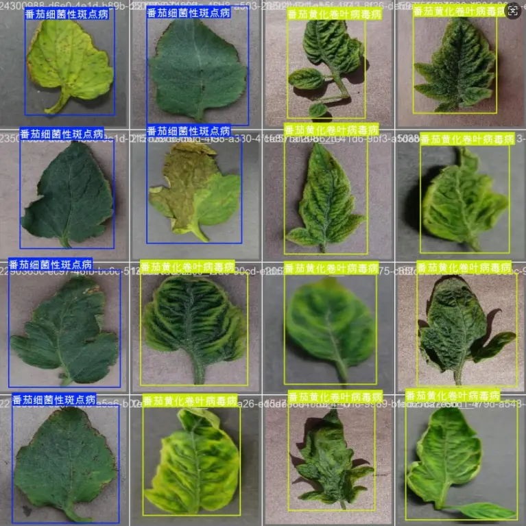 image-20251107210054183