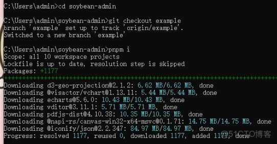從局域網束縛到使用cpoalr全場景協作！SoybeanAdmin 的效率升級秘籍_#網絡_03