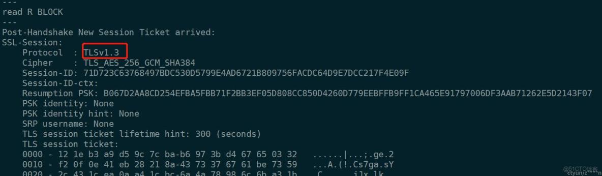 nginx中同一端口不同tls版本與加密套件_中間件_03