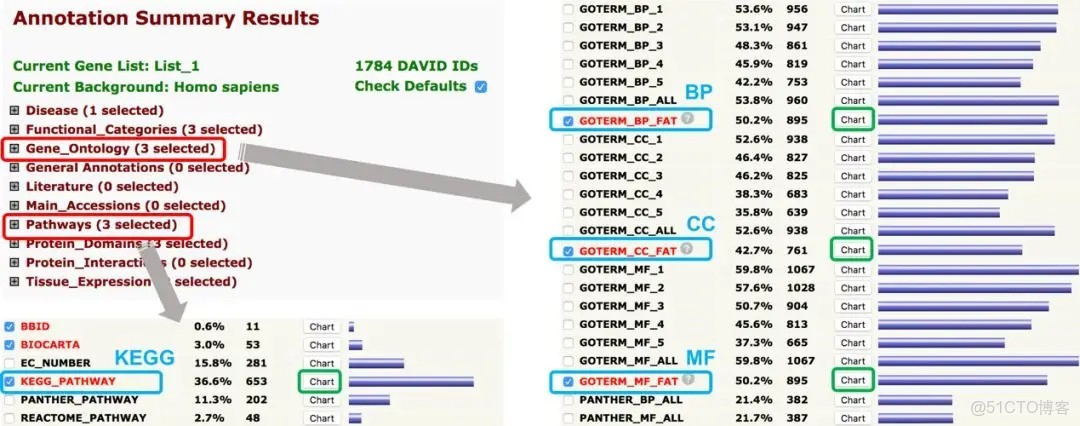 Go和kegg富集分析_#GO富集分析_07