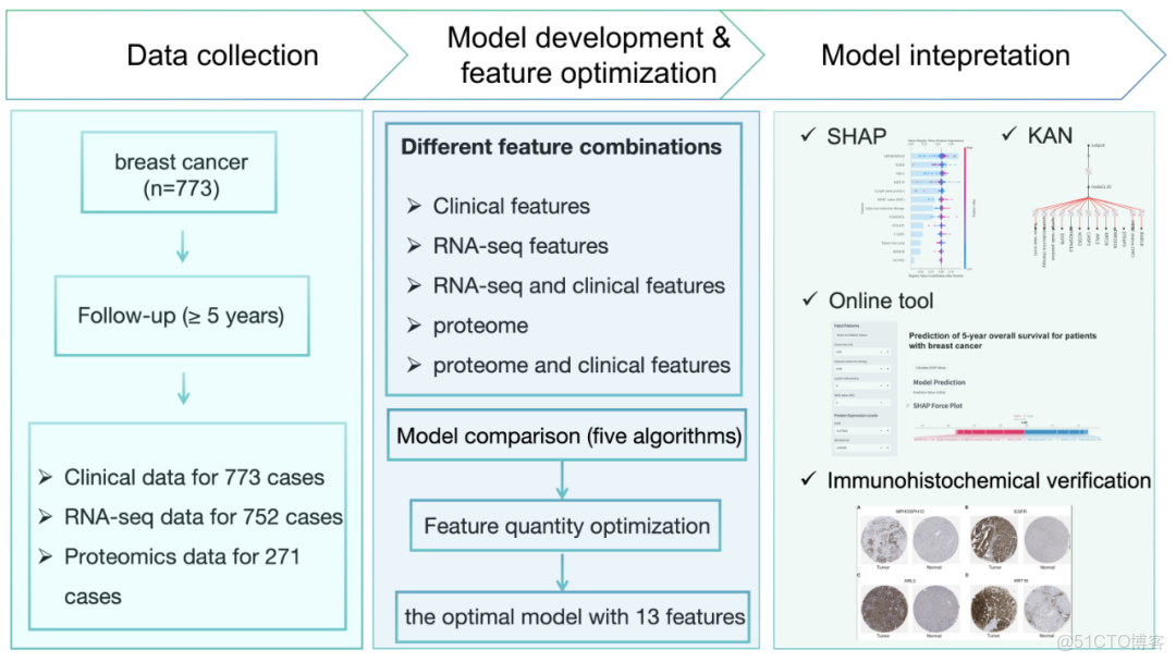iMetaMed | 温附一夏二傑組-預測乳腺癌5年生存率-可解釋機器學習模型_預測模型_02