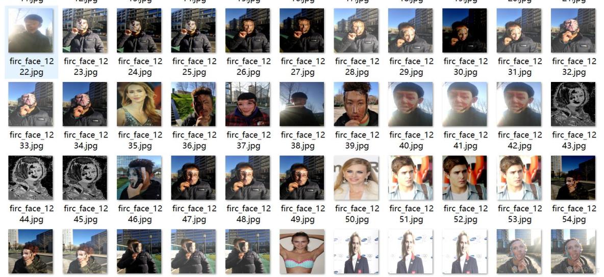 真假人臉檢測偽人臉檢測數據集VOC+YOLO格式4520張2類別_數據集_02