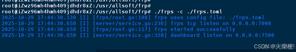配置frp 實現內網穿透（Linux）_#運維_03
