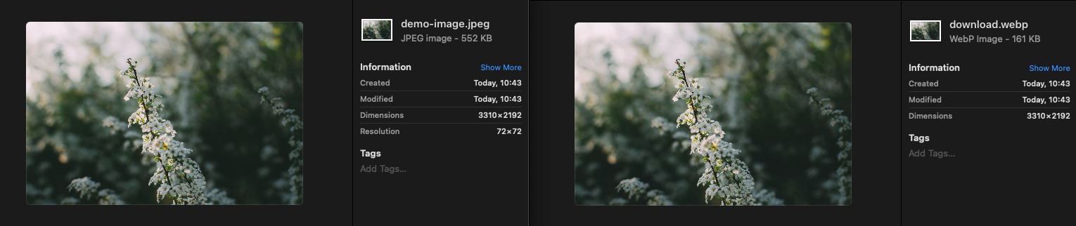 Original JPEG Image VS Compressed WebP Image
