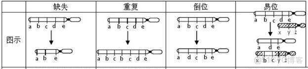 svi和vlanif區別_git_02