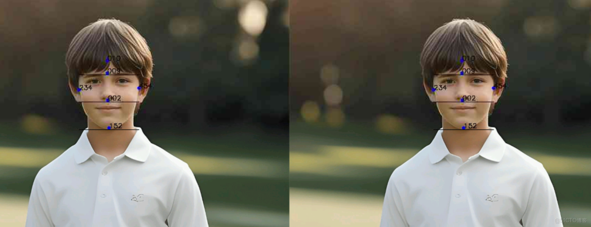 【案例共創】基於華為雲開發環境桌面版的人臉顏值打分_雲主機_18